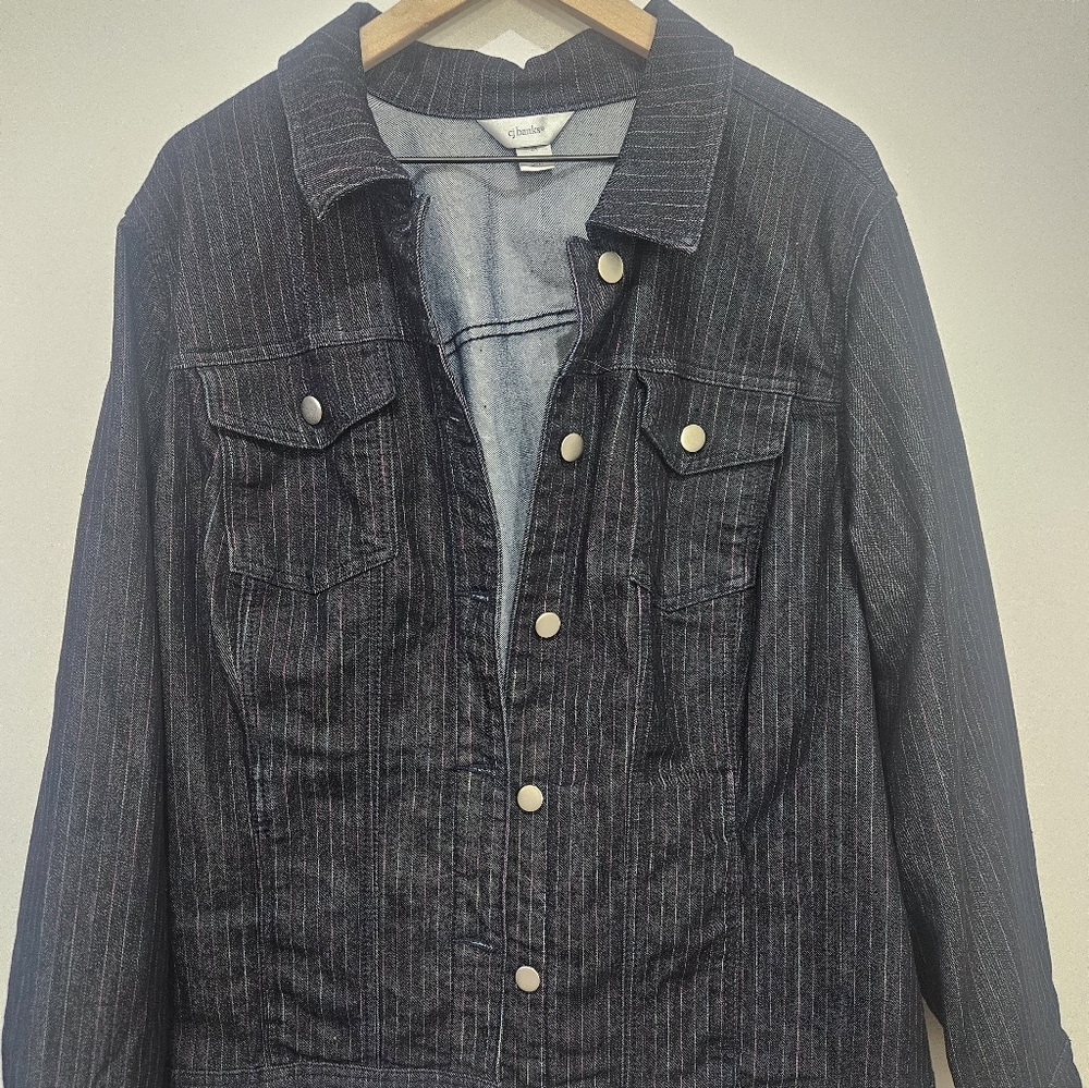 CJ Banks Womens 2X Denim Trucker Jacket Rainbow Pinstripe Dark Wash Indi Stretch